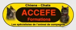 Logo ACCEFE