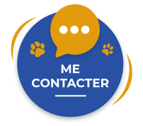 Bouton de contact
