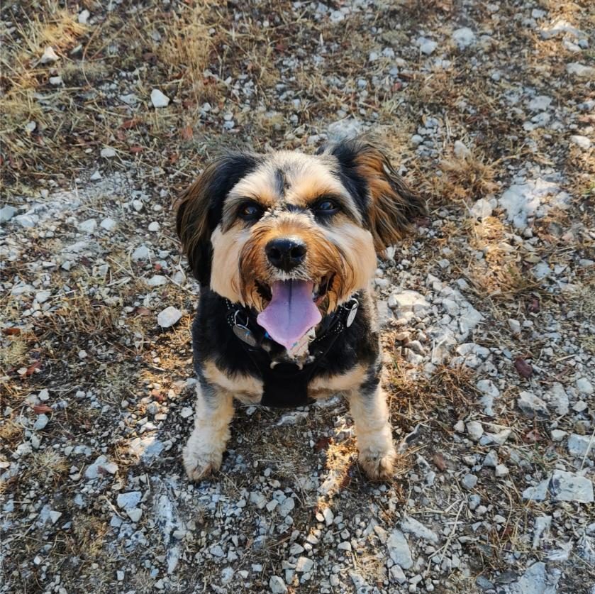 Kiara assise et souriante